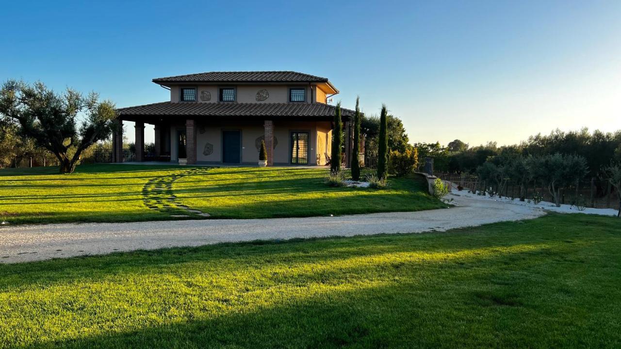 Agriturismo Bonaventura Daire Montefiascone Dış mekan fotoğraf